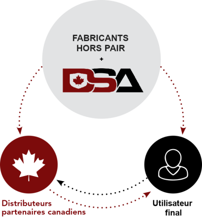 DSA_Infographic_fr